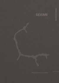 Télécharger Google Books pdf mac Séisme - Terres d'Achab : création permanente, image, méthode par Pierre Baumann FB2