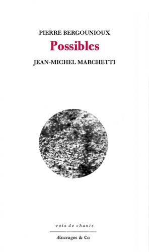 Pierre Bergounioux et Jean-Michel Marchetti - Possibles.