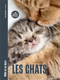 Pierre Bessière - Les Chats - Mille et un docs - Inclus : un poster recto verso !.