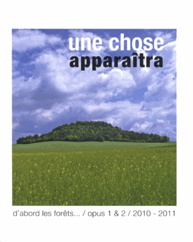 Pierre Bongiovanni - Une chose apparaîtra - D'abord les forêts... Opus 1 & 2 / 2010-2011.