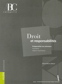 Pierre-Brice Lebrun - Droit et responsabilités.