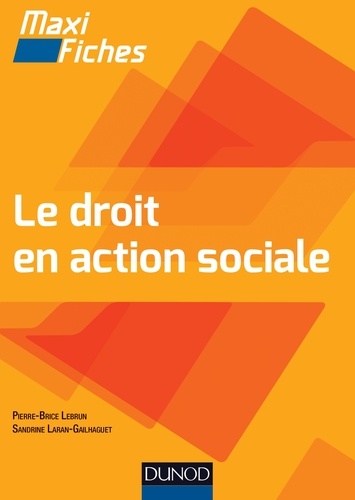 Pierre-Brice Lebrun et Sandrine Laran - Maxi-fiches - Le droit en action sociale.