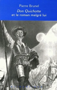 Don Quichotte et la roman malgré lui