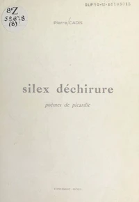 Silex déchirure