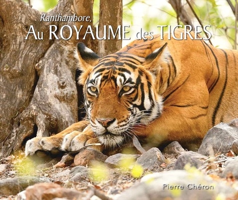 Pierre Chéron - Au royaume des tigres.