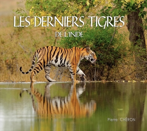 Pierre Chéron - Les derniers tigres de l'Inde.