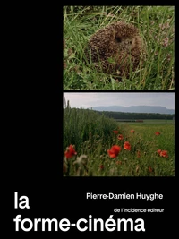 La forme-cinéma