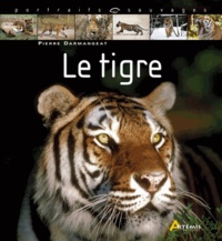 Pierre Darmangeat - Le tigre.