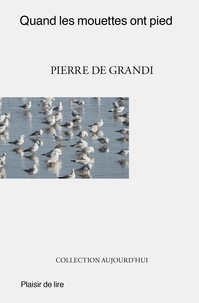 Pierre De Grandi - Quand les mouettes ont pied.