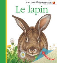 Pierre de Hugo - Le lapin.