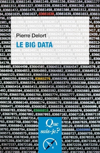 Le Big Data 2e édition