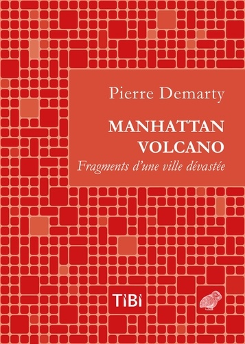 Pierre Demarty - Manhattan volcano - Fragments d'une ville dévastée.