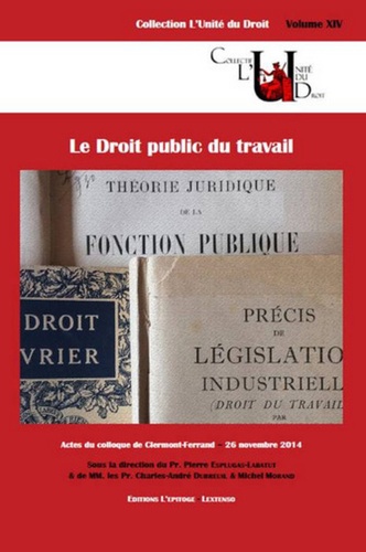 Pierre Esplugas-Labatut et Charles-André Dubreuil - Le Droit public du travail.