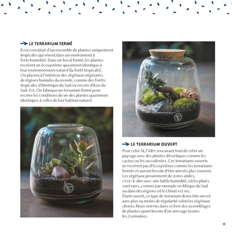 Je crée mon terrarium. C'est magique !