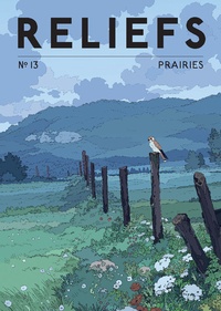 Pierre Fahys - Reliefs N° 13 : Prairies.