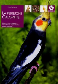 La perruche Calopsitte