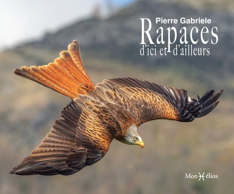 Pierre Gabriele - Rapaces d'ici et d'ailleurs.