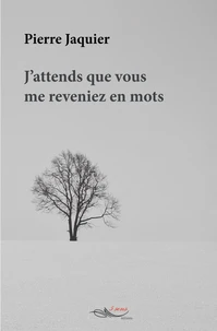 J'attends que vous me reveniez en mots