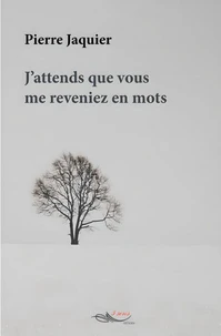 J'attends que vous me reveniez en mots