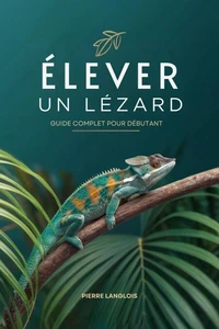 Élever un lézard : guide complet pour débutant