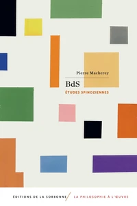 BdS - Études spinoziennes
