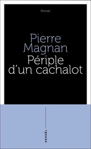Périple d'un cachalot