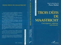 Trois défis de Maastricht