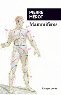 Téléchargement gratuit de la collection de livres Mammifères PDF