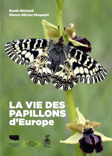 La vie des papillons d'Europe