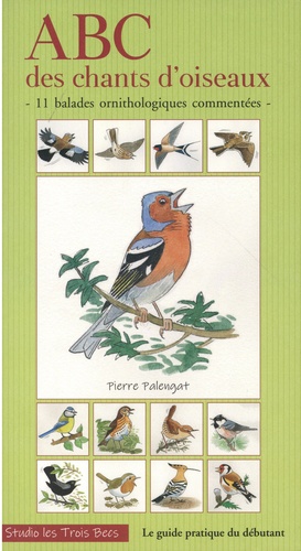 ABC des chants d'oiseaux - 11 balades... de Pierre Palengat - Grand Format  - Livre - Decitre