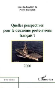 Quelles perspectives pour le deuxième porte-avions français ?