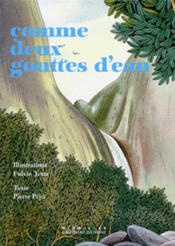 Pierre Péju et Fulvio Testa - Comme deux gouttes d'eau.