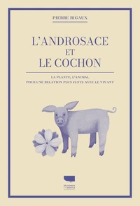 L'Androsace et le cochon