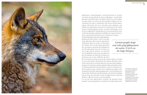 Loups. Un mythe vivant