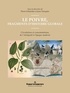 Pierre Schneider et Jean Trinquier - Le poivre, fragments d'histoire globale - Circulations et consommations, de l'Antiquité à l'époque moderne.