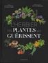 Pierre Vignes et Délia Vignes - L'herbier des plantes qui guérissent.