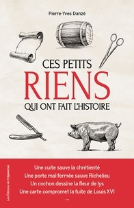 Pierre-Yves Danzé - Ces petits riens qui ont fait l'histoire de France - Hasards, coïncidences et malchances, de Jules César à Charles de Gaulle.