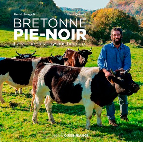 Bretonne pie-noir. La vache des paysans heureux