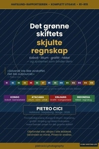 Det grønne skiftets skjulte regnskap