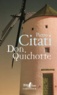 Pietro Citati - Don Quichotte.