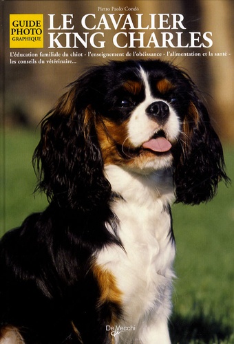 Pietro Paolo Condo - Le Cavalier King Charles.