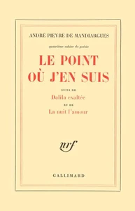 Le Point Ou J'En Suis. Dalila Exaltee. La Nuit