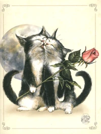 Cahier chats enchantés