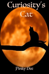 Curiosity's Cat