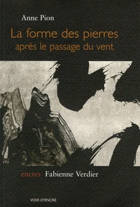 La forme des pierres après le passage du vent