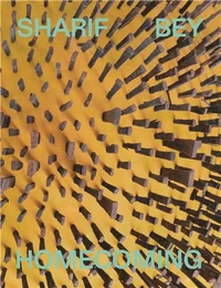 Sharif bey : Homecoming