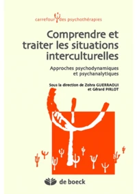 Comprendre et traiter les situations interculturelles