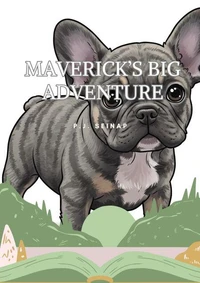 Maverick's Big Adventure