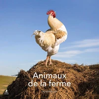 Calendrier Animaux de la ferme