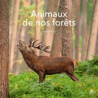 Calendrier Animaux de nos forêts